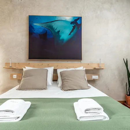 Knock Knock Ii 아파트 Ponta Delgada